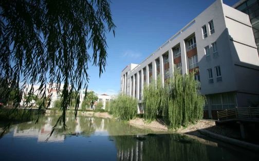 沙洲中學(xué)地址在哪里_位于哪個(gè)區(qū)？