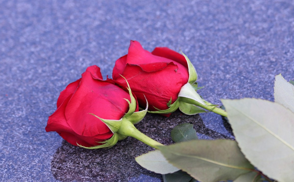 2026年情人節(jié)是幾月幾日,情人節(jié)送什么禮物給女朋友？