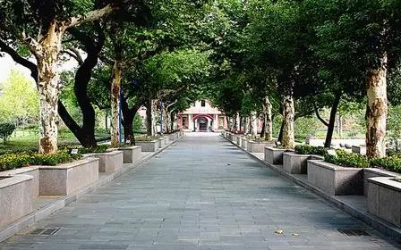 杭州高級(jí)中學(xué)在杭州的排名第幾,屬于什么檔次？