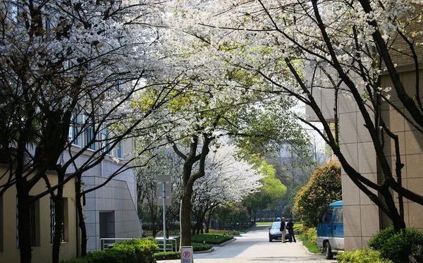 杭州第十四中學簡介概況（建校歷史、地址、師資、校訓、環(huán)境）