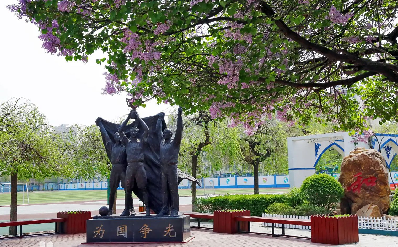 沈陽市回民中學校區(qū)在哪_在什么區(qū)？