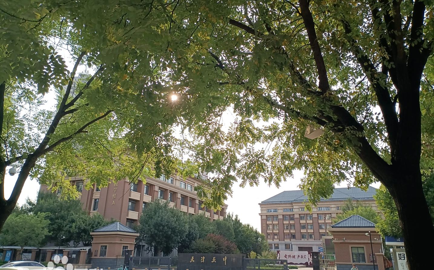 天津市第五中學(xué)校區(qū)在哪_在什么區(qū)？