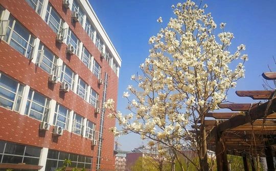 石家莊市鹿泉區(qū)第一中學(xué)在石家莊的排名第幾,屬于什么檔次？