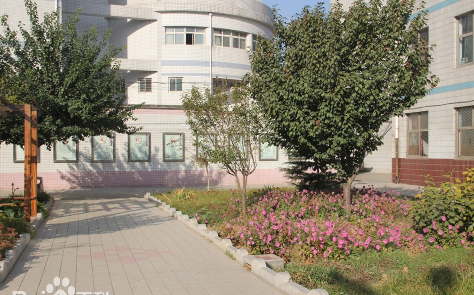 石家莊市藁城區(qū)第九中學(xué)校區(qū)在哪_在什么區(qū)？