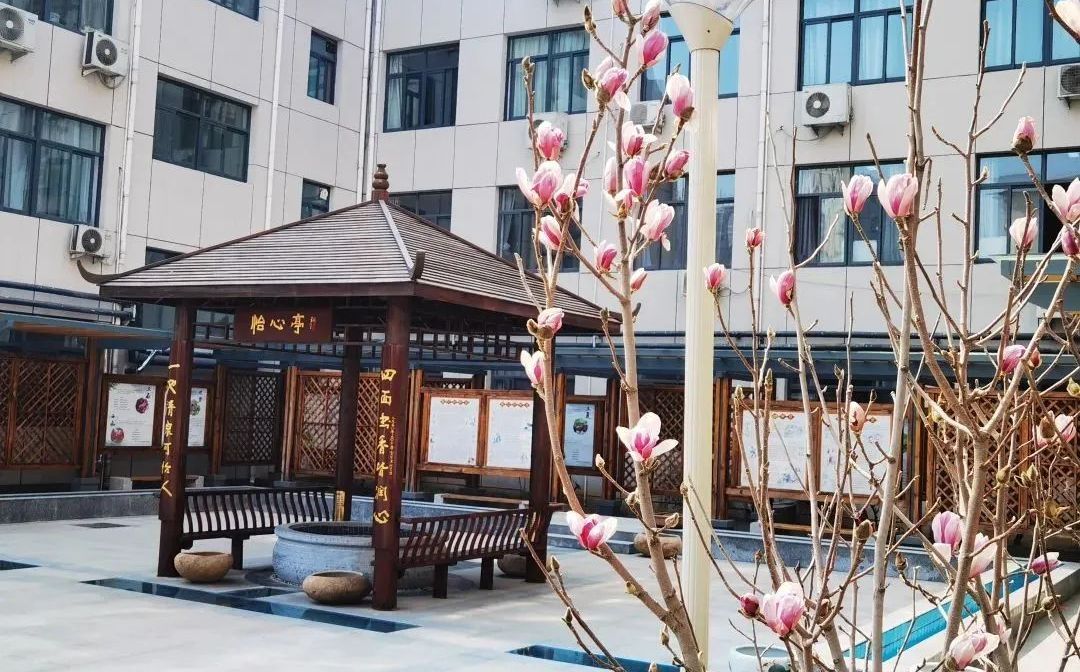 山東省濟(jì)南第十一中學(xué)簡(jiǎn)介概況（建校歷史、地址、師資、校訓(xùn)、環(huán)境）