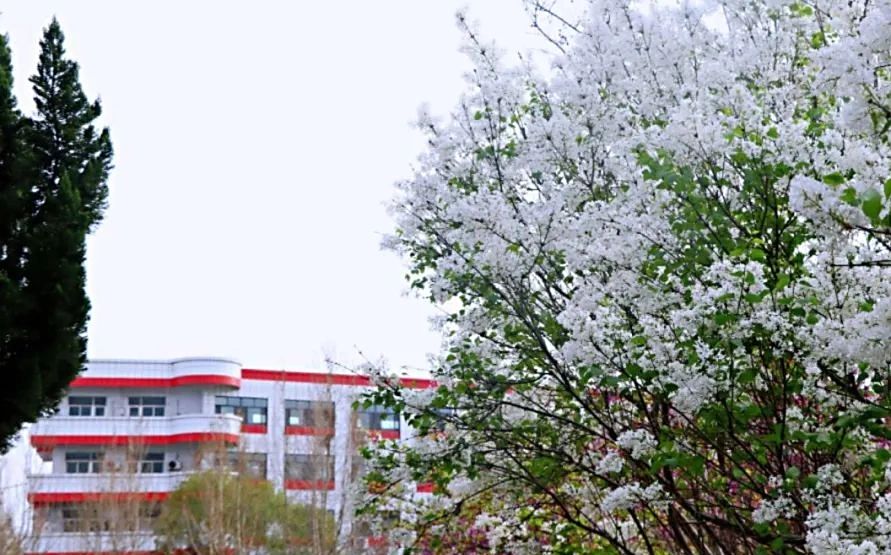 山東省濟(jì)北中學(xué)是公立還是私立,是重點(diǎn)中學(xué)嗎？