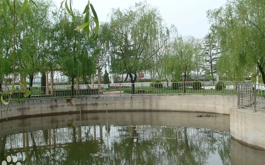 青島市即墨區(qū)第四中學(xué)簡介概況（建校歷史、地址、師資、校訓(xùn)、環(huán)境）