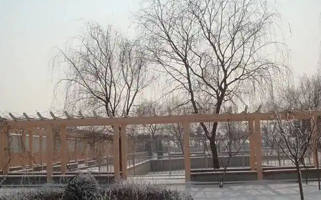 青島市即墨區(qū)第四中學(xué)校區(qū)在哪_在什么區(qū)？