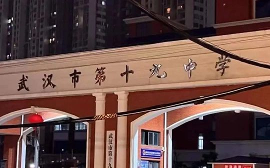 武漢市第十九中學在武漢的排名第幾,屬于什么檔次？