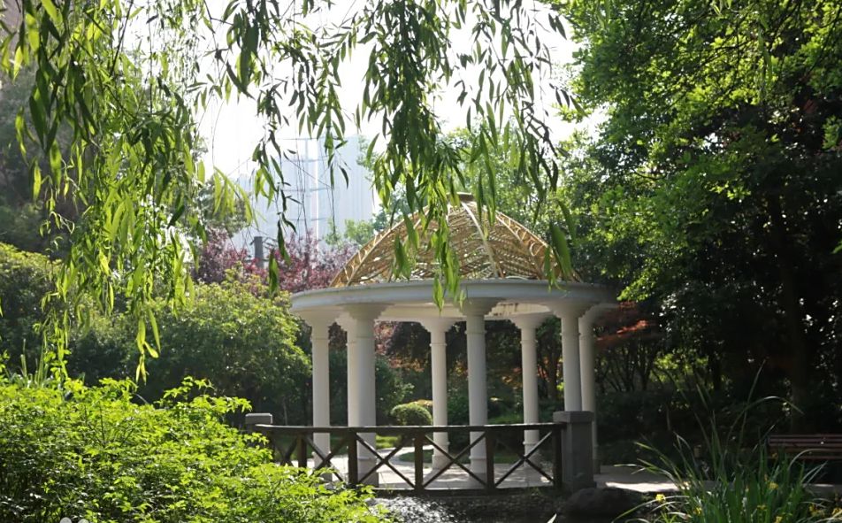 武漢市常青第一中學(xué)校區(qū)在哪_在什么區(qū)？