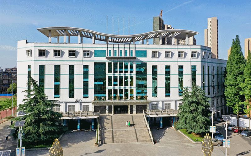 武漢市第十七中學(xué)是公立還是私立,是重點(diǎn)中學(xué)嗎？