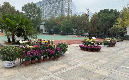 武漢市第二十六中學(xué)在武漢的排名第幾,屬于什么檔次？