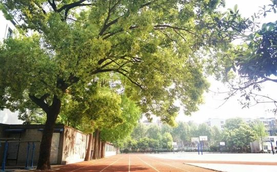 武漢市第二十六中學(xué)是公立還是私立,是重點中學(xué)嗎？