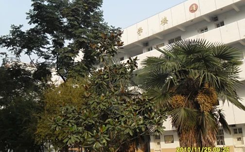 武漢市第三中學(xué)在武漢的排名第幾,屬于什么檔次？