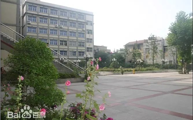 武漢市第十五中學在武漢的排名第幾,屬于什么檔次？