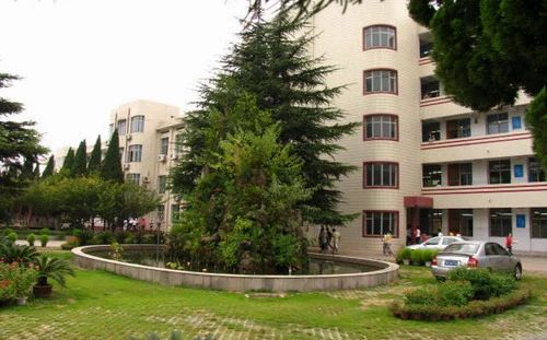 武漢市武鋼三中是公立還是私立,是重點中學嗎？