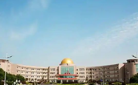 武漢市江夏區(qū)第一中學在武漢的排名第幾,屬于什么檔次？