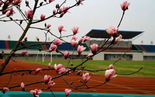 武漢市漢南第一中學(xué)簡(jiǎn)介概況（建校歷史、地址、師資、校訓(xùn)、環(huán)境）