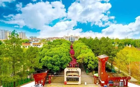 武漢市新洲區(qū)第一中學(xué)在武漢的排名第幾,屬于什么檔次？