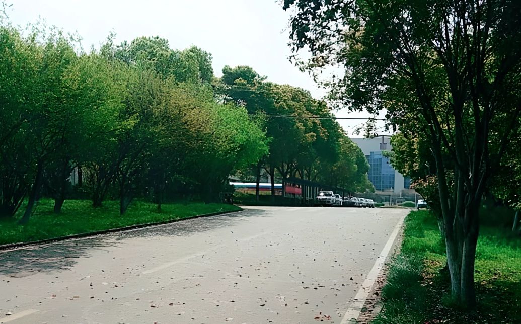 武漢市黃陂區(qū)第一中學(xué)在武漢的排名第幾,屬于什么檔次？