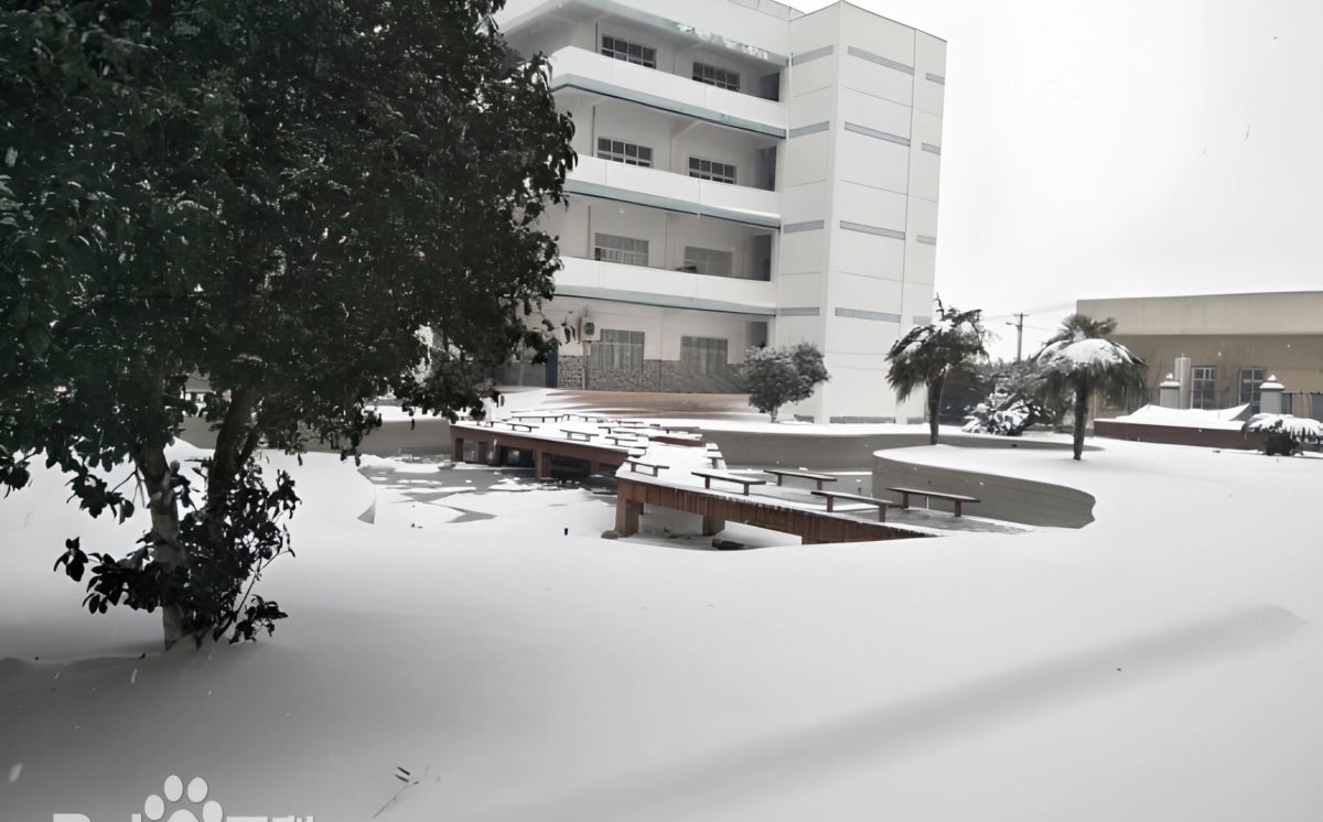 武漢市黃陂區(qū)第一中學(xué)是公立還是私立,是重點(diǎn)中學(xué)嗎？