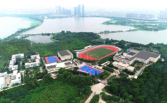 武漢西藏中學(xué)校區(qū)在哪_在什么區(qū)？