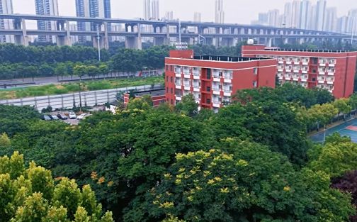 武漢市第三十九中學(xué)簡(jiǎn)介概況（建校歷史、地址、師資、校訓(xùn)、環(huán)境）