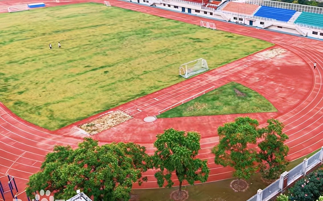 武漢市第三十九中學(xué)校區(qū)在哪_在什么區(qū)？