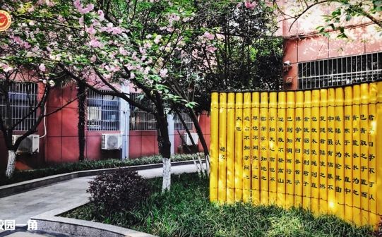 武漢市關(guān)山中學(xué)在武漢的排名第幾,屬于什么檔次？