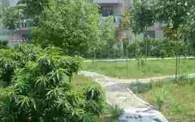 武漢市新洲區(qū)第四中學(xué)簡(jiǎn)介概況（建校歷史、地址、師資、校訓(xùn)、環(huán)境）