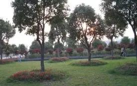 武漢市新洲區(qū)第四中學校區(qū)在哪_在什么區(qū)？