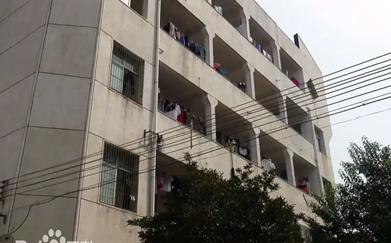 武漢市新洲區(qū)城關(guān)高級中學(xué)校區(qū)在哪_在什么區(qū)？