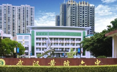 武漢市黃陂區(qū)第六中學(xué)簡(jiǎn)介概況（建校歷史、地址、師資、校訓(xùn)、環(huán)境）