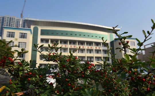 武漢市黃陂區(qū)第六中學校區(qū)在哪_在什么區(qū)？