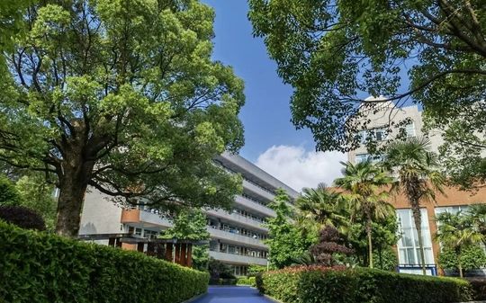 麓山國(guó)際實(shí)驗(yàn)學(xué)校在長(zhǎng)沙的排名第幾,屬于什么檔次？