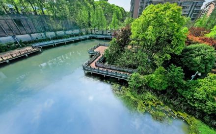 長沙市南雅中學(xué)是公立還是私立,是重點中學(xué)嗎？