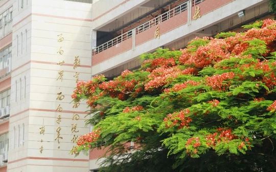 廈門市大同中學(xué)是公立還是私立,是重點中學(xué)嗎？