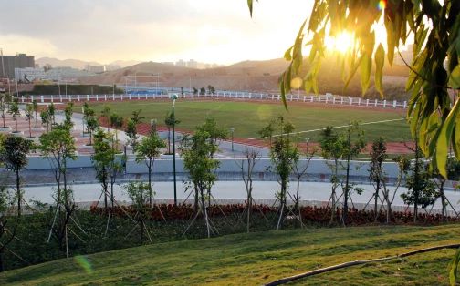 深圳科學(xué)高中是公立還是私立,是重點(diǎn)中學(xué)嗎？