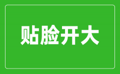 貼臉開大是什么意思_貼臉開大最