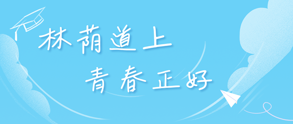 新疆大學(xué)在各省的錄取分?jǐn)?shù)線及位次,2026屆高考生多少分能上?