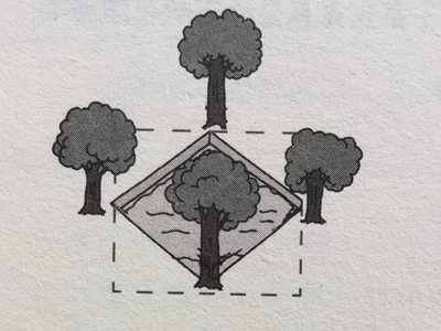 擴(kuò)大池塘答案